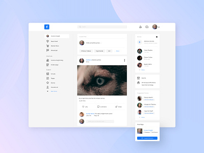 FB Redesign concept