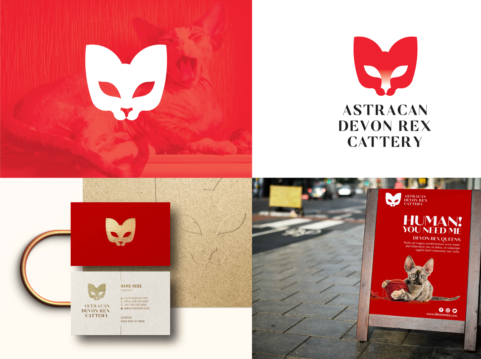 astracan-devon-rex-cattery-logo-by-hanna-on-dribbble