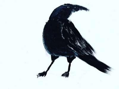 Crow #2 art drawing painting beauty