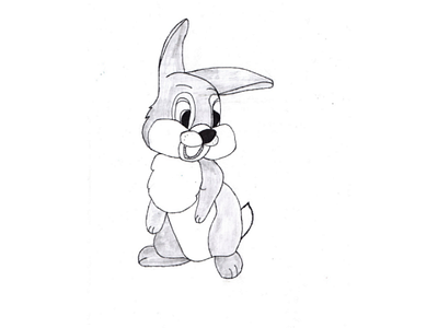 Rabbit art draw animals