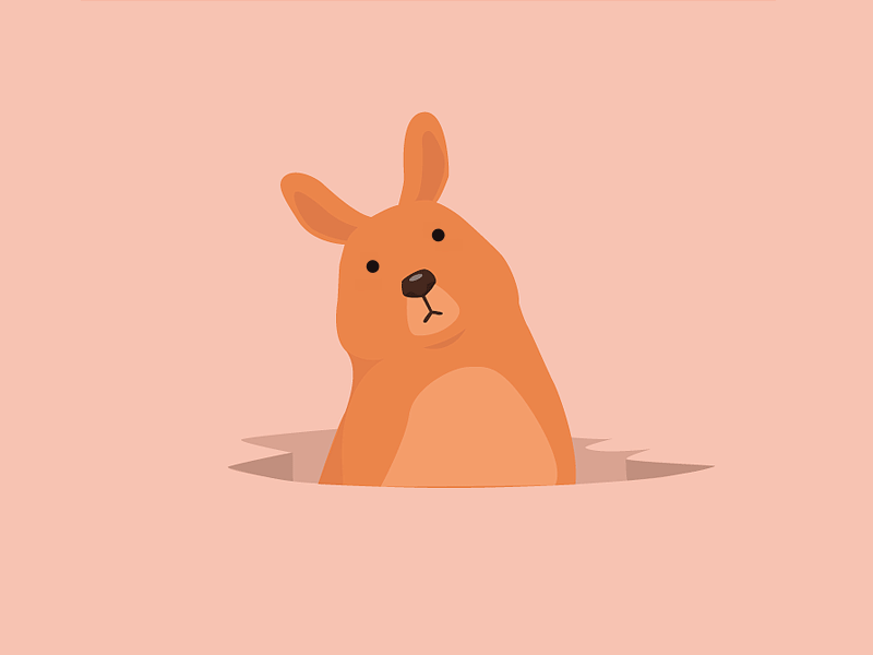 Rabbit propaganda