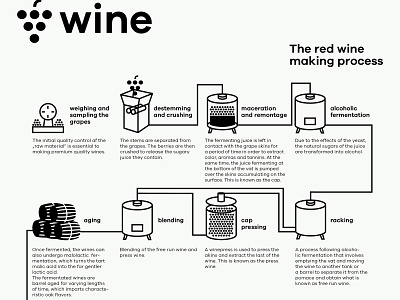 wine infographic design flat illustration infographic vector wine