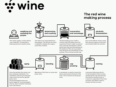 wine infographic