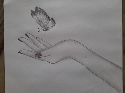 Butterfly in Hand Art
