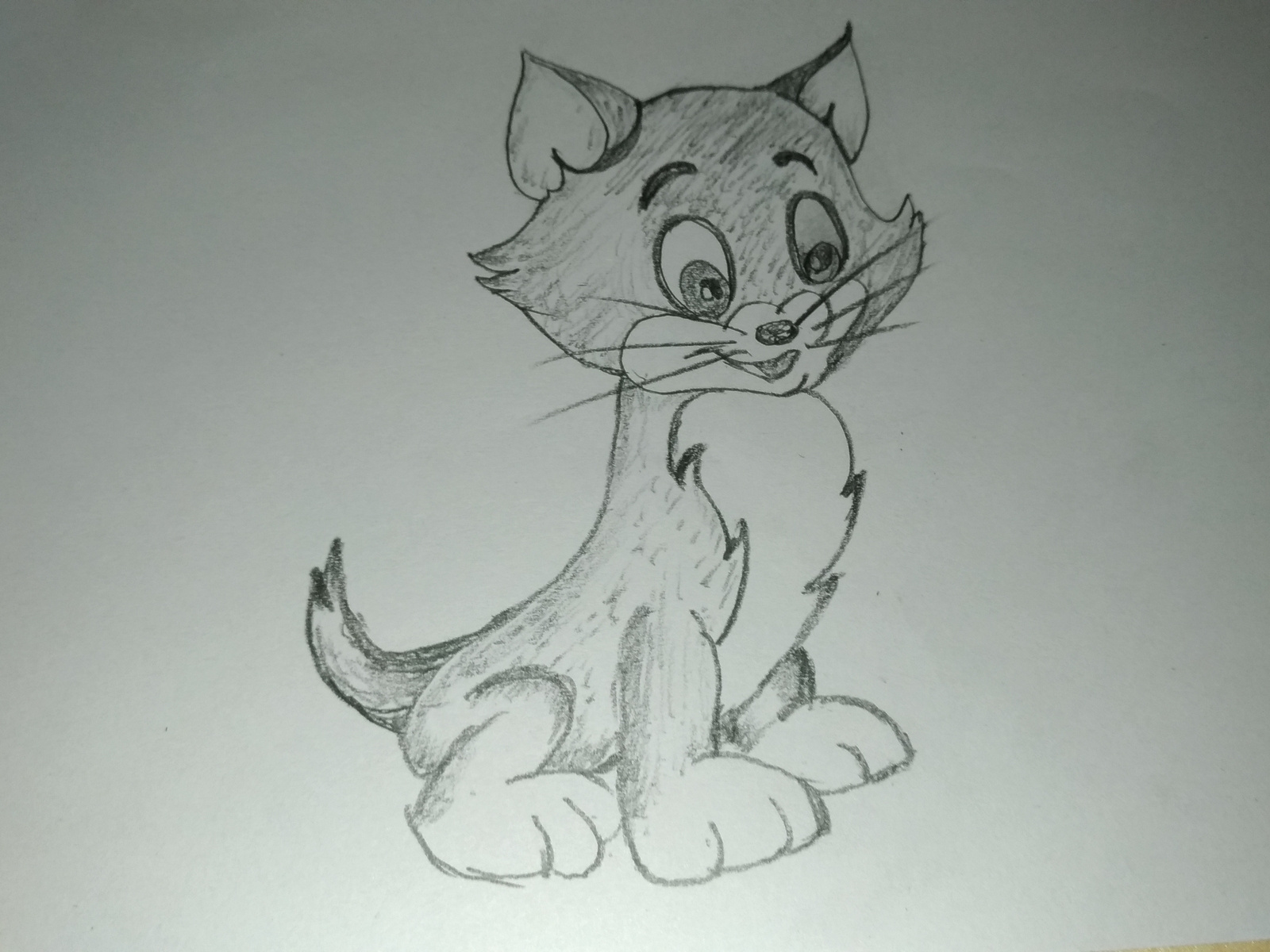 Cartoon Cat Drawing By Mlspcart On Dribbble