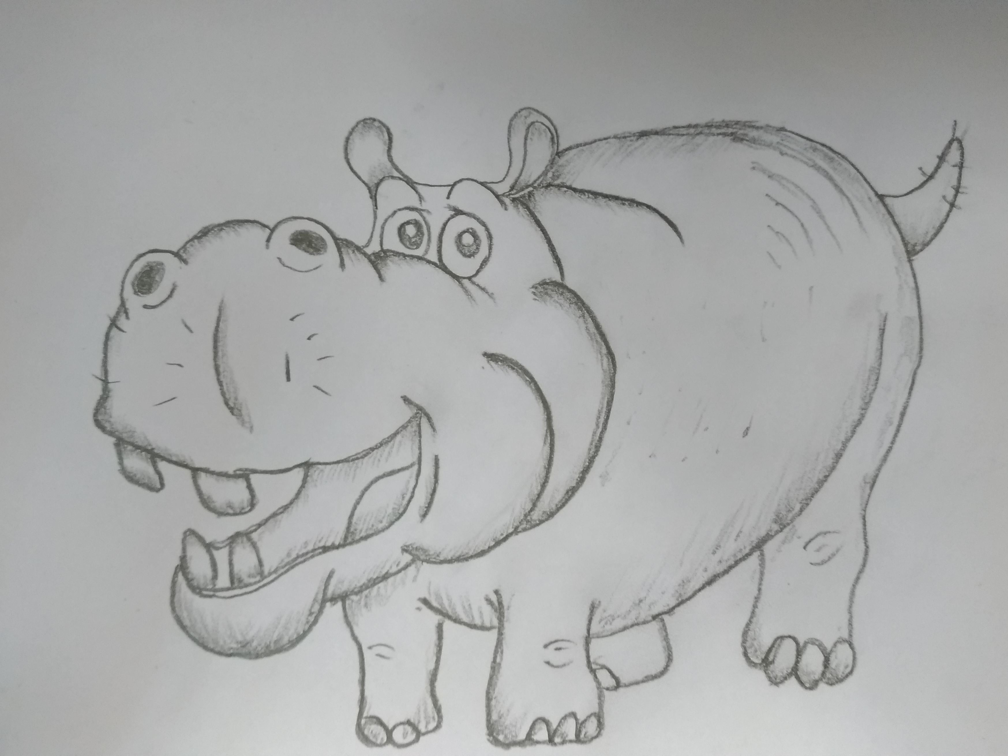 Hippo Sketch Vector Images (over 1,100)