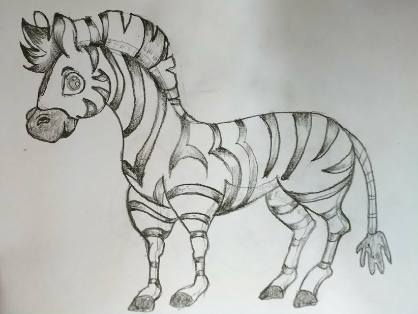 zebra pencil drawing