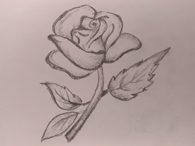 Rose Flower Art art art board black black and white cute design drawing hand art hand crafted hand drawing kids leaf pencil art pencil drawing rose rose sketch sketch sketch art sketch drawing white
