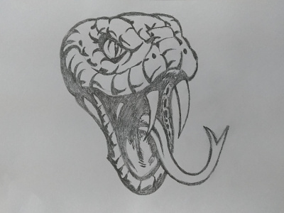 how to draw a snake eye