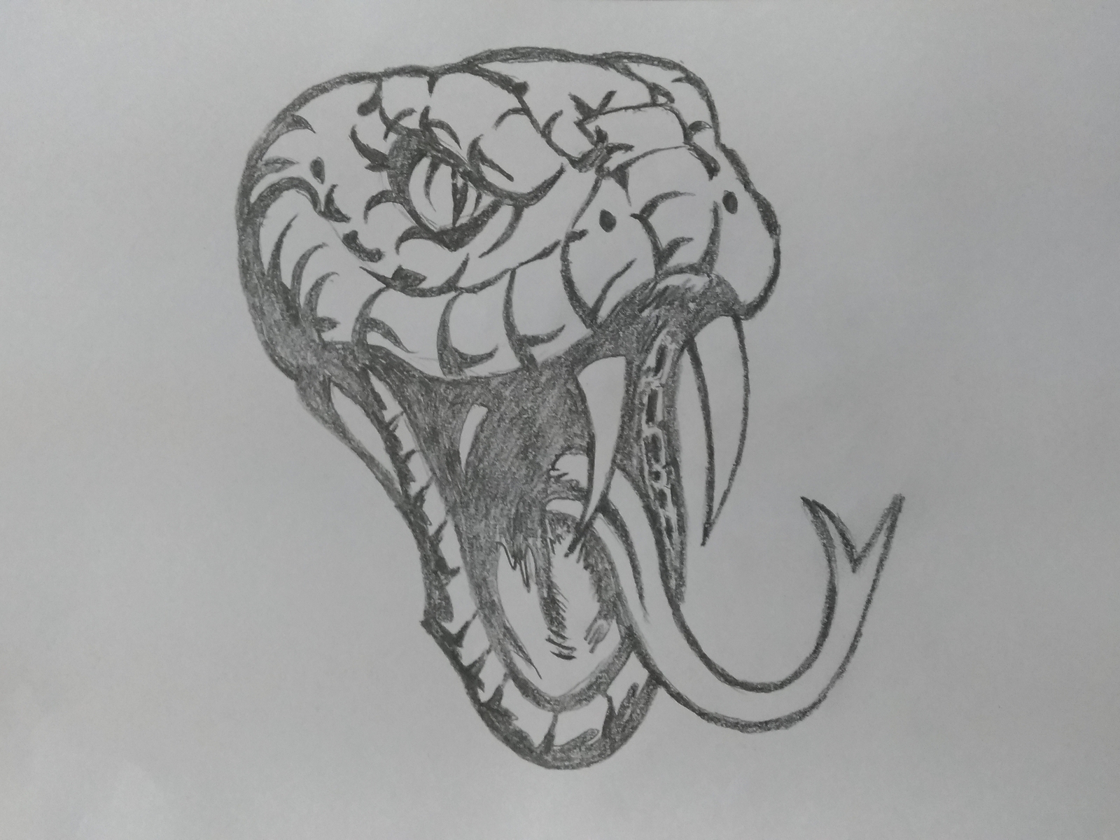 Snake Head Art by MLSPcArt on Dribbble