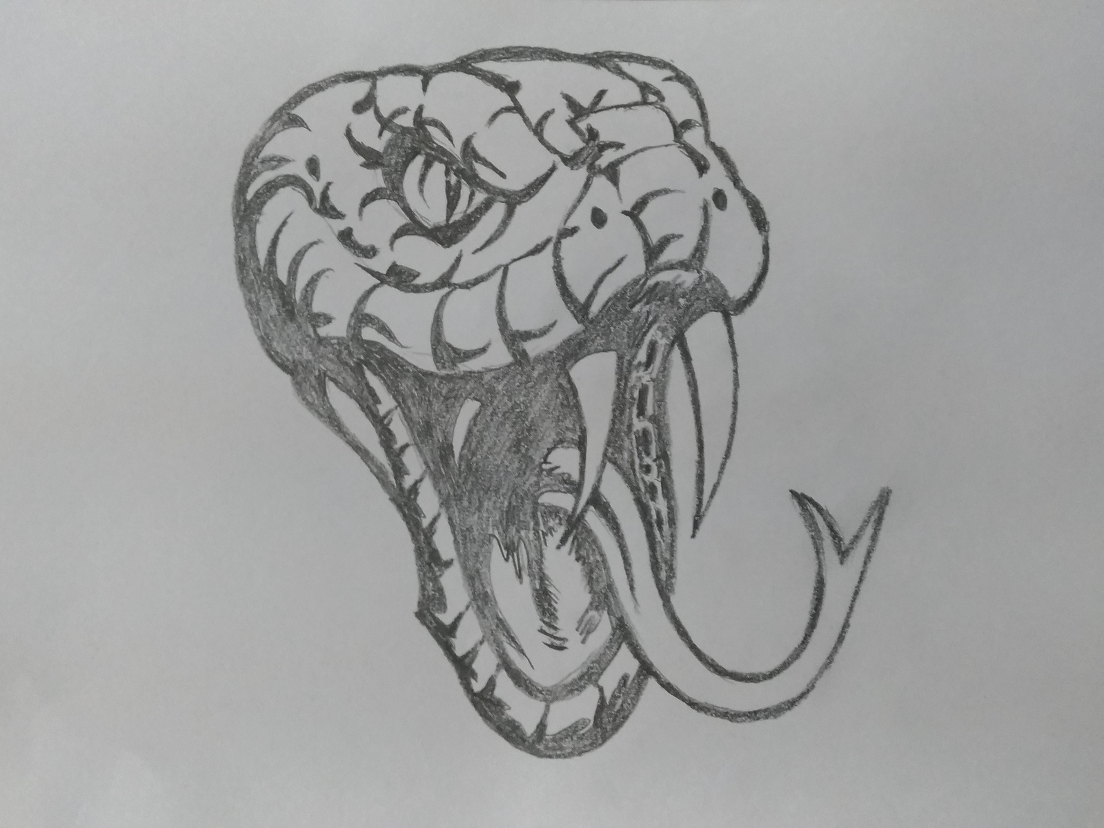 snake head shapes