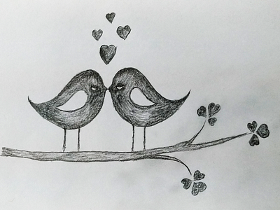 pencil drawings of lovebirds