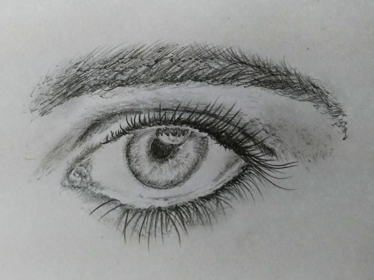 Eye Drawing eyedrawing  Instagram photos and videos