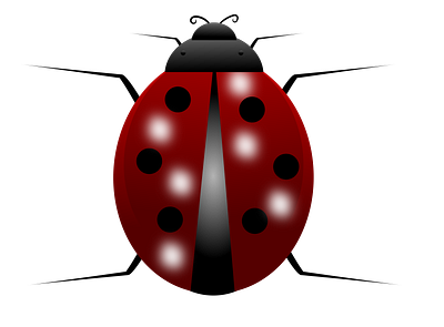 Lady Bug art design graphic illustration inkscape vector