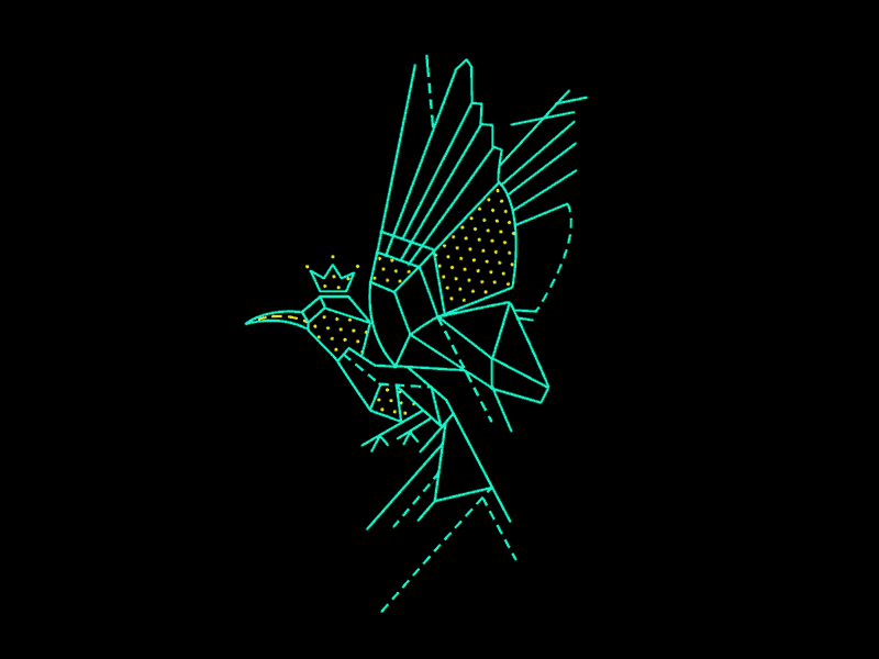 Sunbird after effects bird design flat geometric icon illustration shapes vector