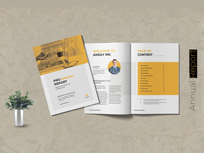 Annual Report Design booklet design branding branding concept branding design design template design