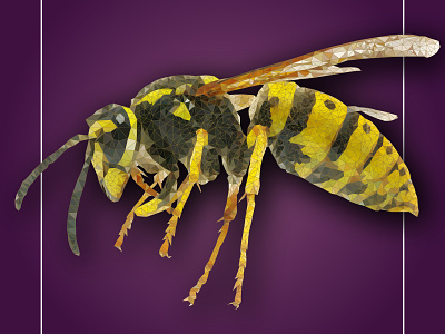 Yellow Jacket - Low Poly