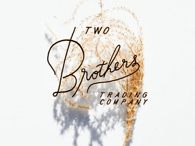 Two Brother alabama branding handlettering handrawn logo outdoor advertising shop logo vector art vector logo