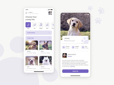 Pet Adoption App adoption app dog pet ui uidesign uiux ux