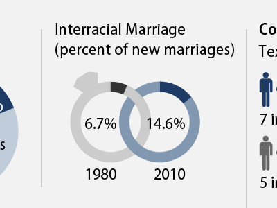 Interracial Marriage blue infographic