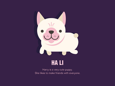 Hali design dog illustration logo ui