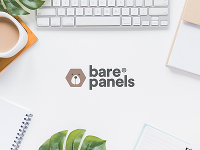 Bare Panel Logo Concept