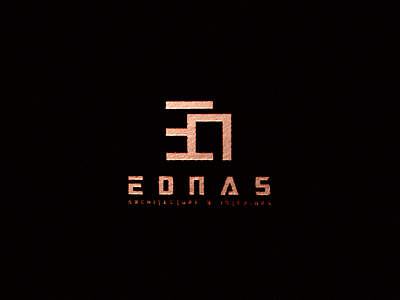 EDNAS branding design logo