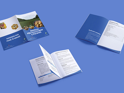 Brochure for Celim Organisation design graphic design print