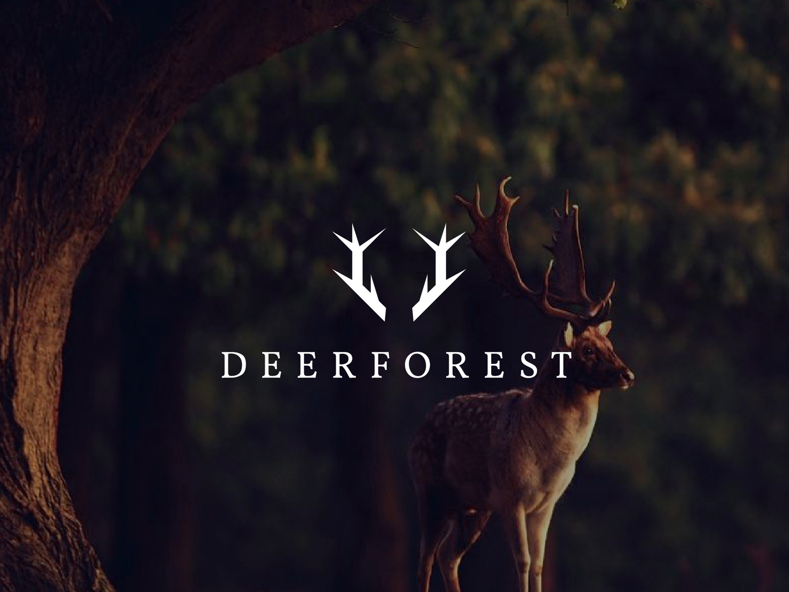 Deer Logo by TANJIL ALOM on Dribbble