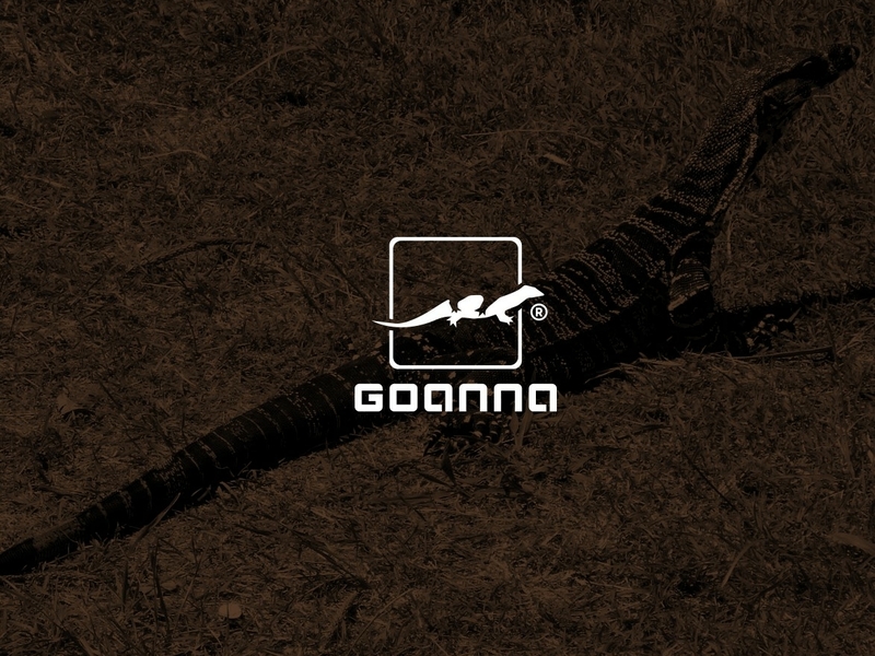 Goanna branding design flat goanna graphic graphic deisgn icon logo minimal minimalist negative space vector