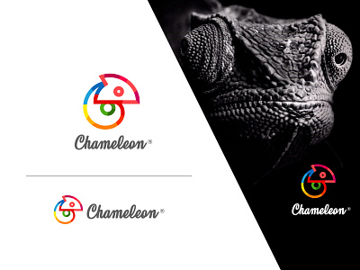 Chameleon branding concept design flat graphic graphic deisgn icon logo minimal minimalist