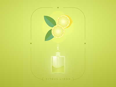 Lemon food illustration illustration lemon plant illustration plants vector