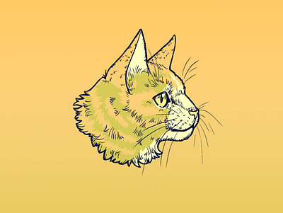 Golden cat animal illustration cat drawing illustration tabby cat