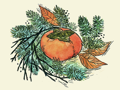 Persimmon food food illustration fruit fruit illustration illustration persimmon persimmon illustration plant illustration plants watercolor