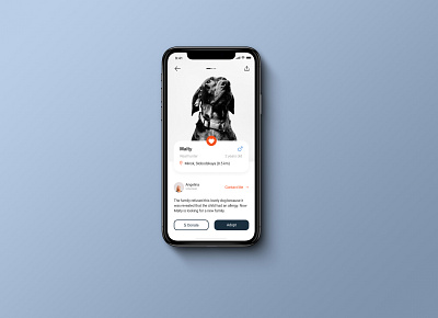 Mobile app for Malty dogs flat pets ui ux