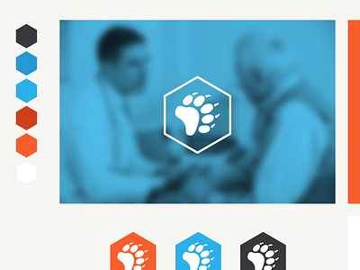 New Healthcare App Brand Identity app branding healthcare identity design logo design web app