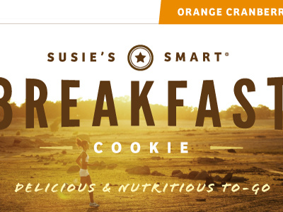 Susie's Smart branding packaging