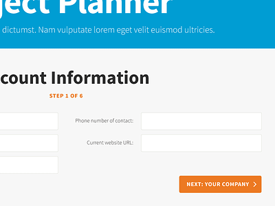 Project Planner carenetworks healthcare responsive source sans pro web design web form