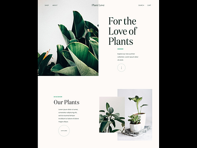 Plant Landing Page Concept design ecommerce landing page plants ui design visual design
