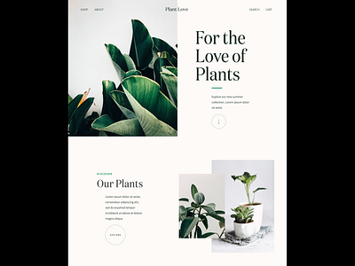 Plant Landing Page Concept