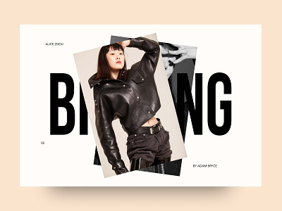 Bintang Models - Homepage Header fashion graphic design header nz photography web design website