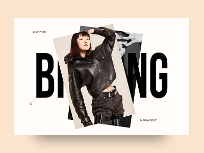 Bintang Models - Homepage Header