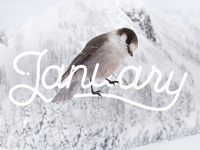 January custom type custom typography graphic design january lettering ligatures months pen tool type type design typography winter