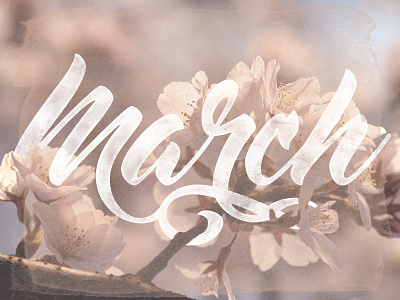 March custom type custom typography flowers lettering ligatures march months pen tool spring type typography