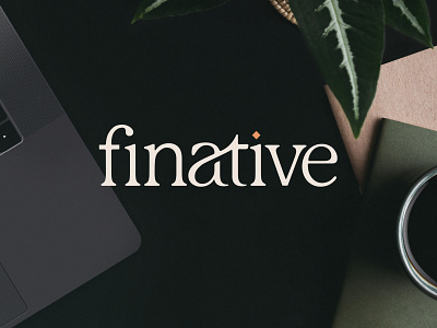 Finative — primary logo accounting branding identity logo logotype typography