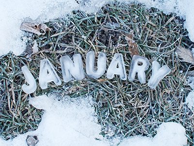 Craft Calendar / January calendar cold craft frost frozen handmade ice january letter month snow type