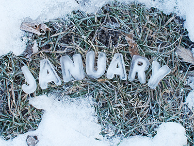 Craft Calendar / January