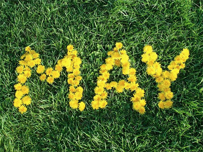 Craft Calendar / May calendar craft flowerpower flowers flowertype handmade letter may month