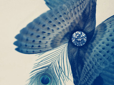Diamonds & Creatures abstract art collage diamond feather illustration owl photoshop
