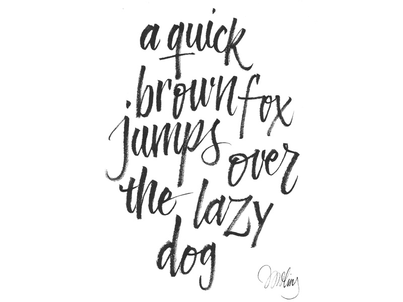 Brush pen pangram brush lettering script calligraphy type typography letters pangram display